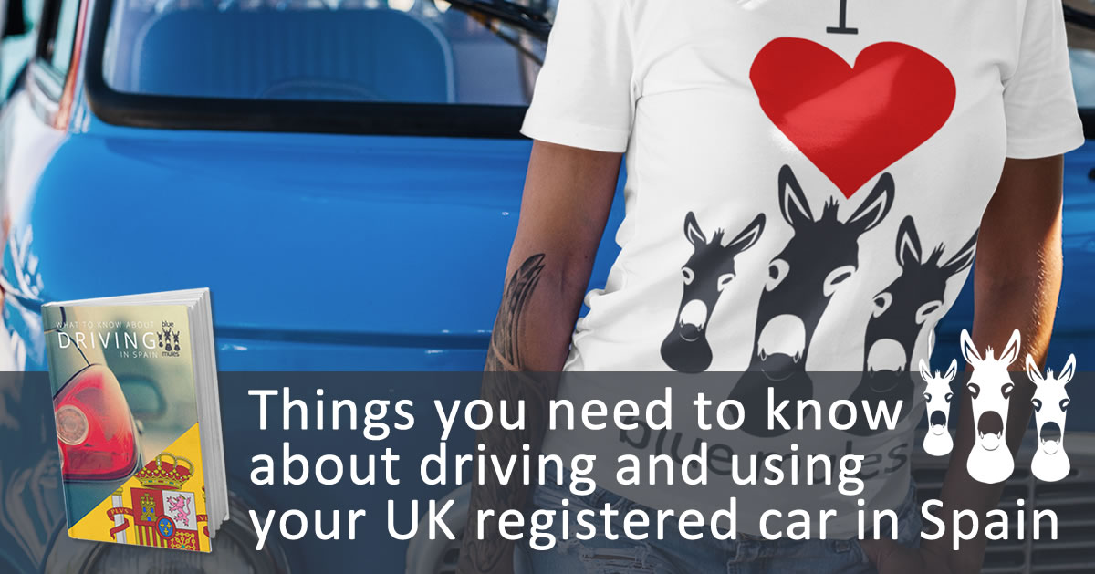 Blue Mules UK to Spain to UK Vehicle Transport FAQ's